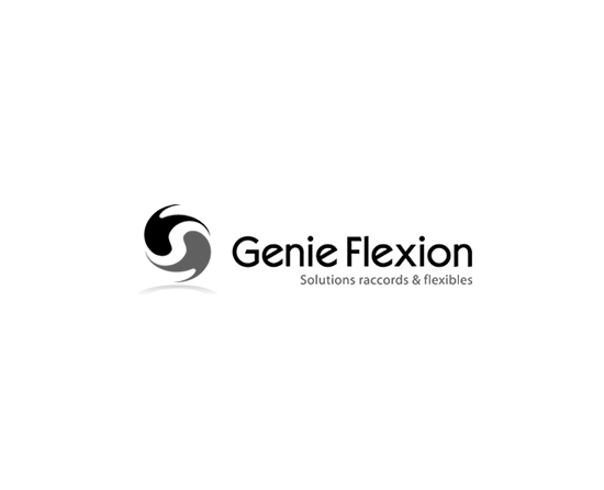 GENIE FLEXION - Réparation flexibles hydrauliques