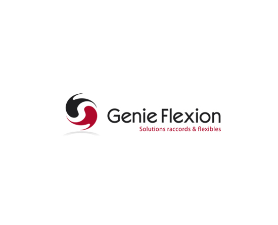 GENIE FLEXION